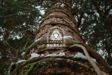 長寿率3倍のまち京丹後・京都北部エリアで 初のクラフトジン蒸留所が完成