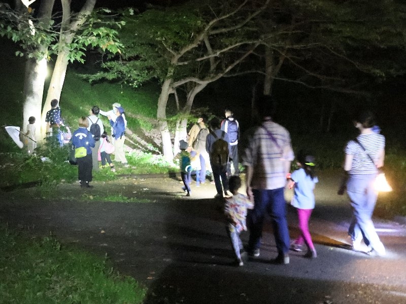 夜の生き物をさがしに行こう!