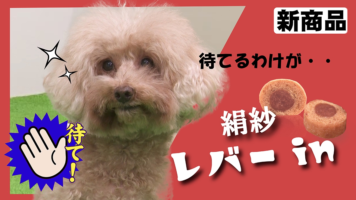 絹紗レバーin 動画