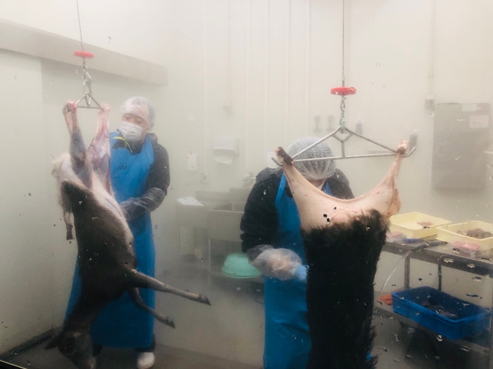 捌師による剥被