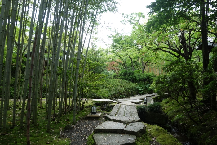 松花堂庭園(外園部分)