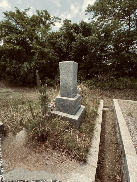 手入れができず、草木が生い茂ったお墓(2)