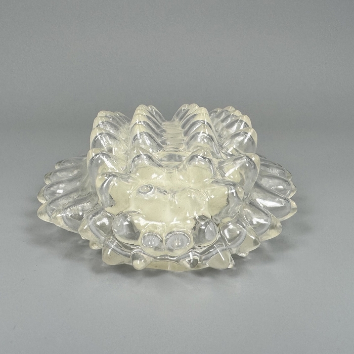 〈DIGBUG ジュエルキャタピラー【蓄光】_5〉