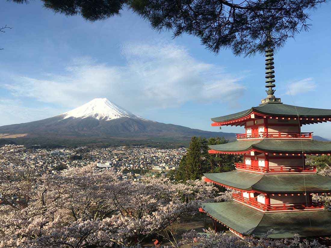 海外からの観光客の撮影スポットとして 有名な新倉山浅間公園=宮下さん撮影
