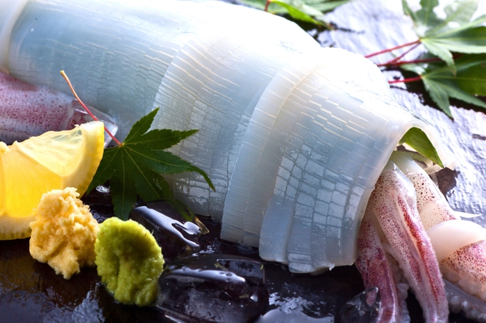 甘さと食感がクセになる新鮮な京丹後イカ ※一例