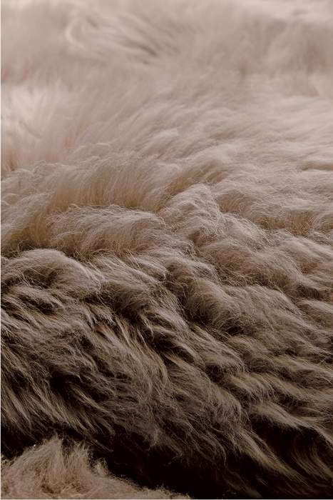 「日本ムートン」の毛皮製品