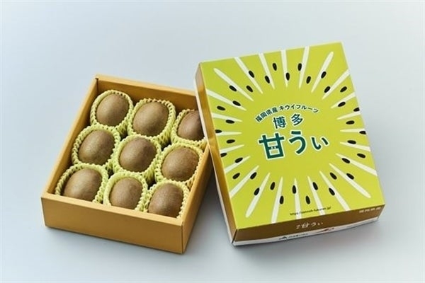 キウイフルーツ「博多甘うぃ」約1.3㎏(9玉、化粧箱)