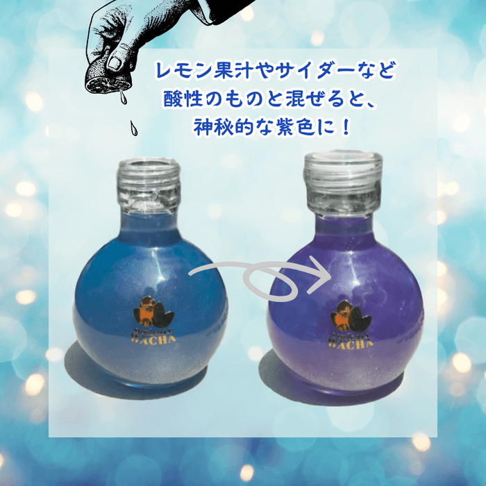 ＜ブルーからパープルへの大胆な色変化＞