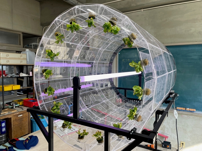 ドラム型水耕栽培装置