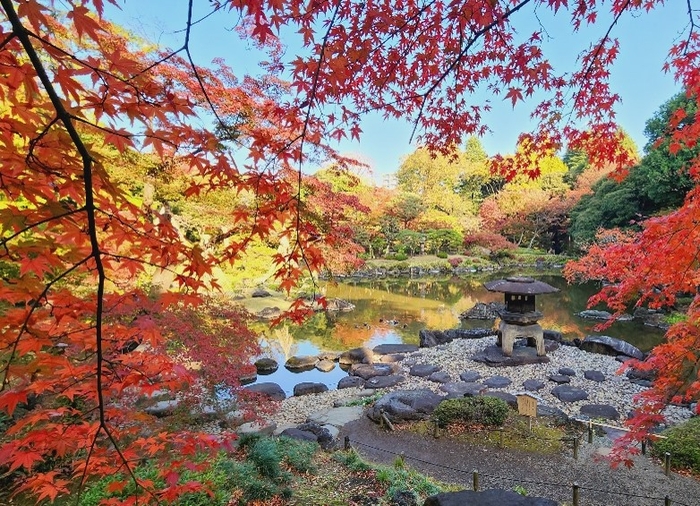 雪見灯篭と池回りの紅葉(過去の様子)
