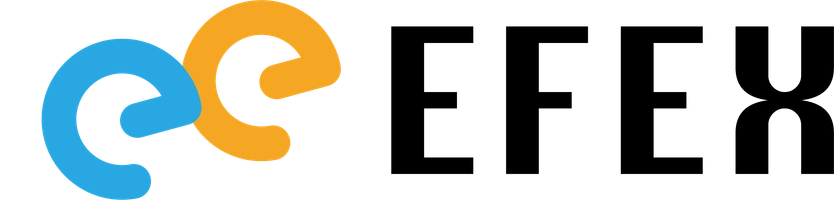 株式会社エフェックス