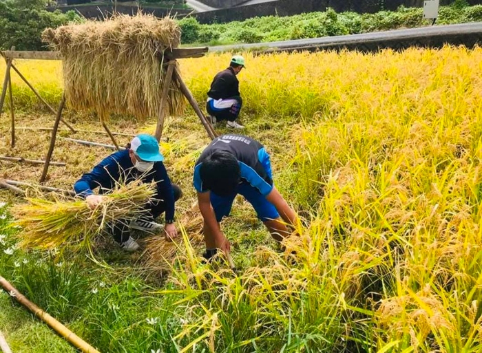 不耕作地の有効利用