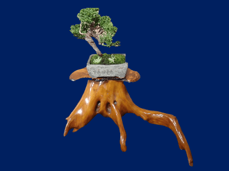 展示品の一例(過去開催時)