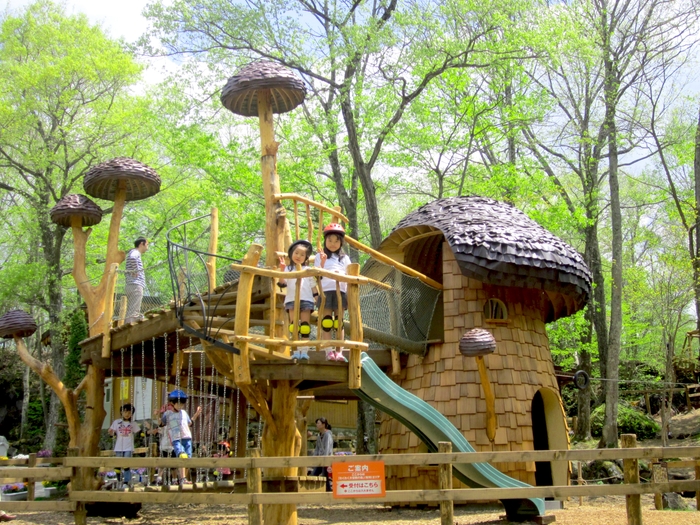 軽井沢おもちゃ王国/自然アスレチック「わくわく大冒険の森」