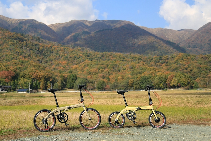 TRANS MOBILY NEXT_newcolor1