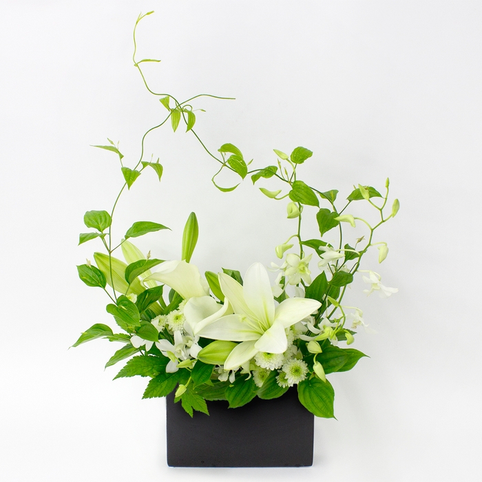 『和』なごみシリーズ MB ¥11,000(税込)