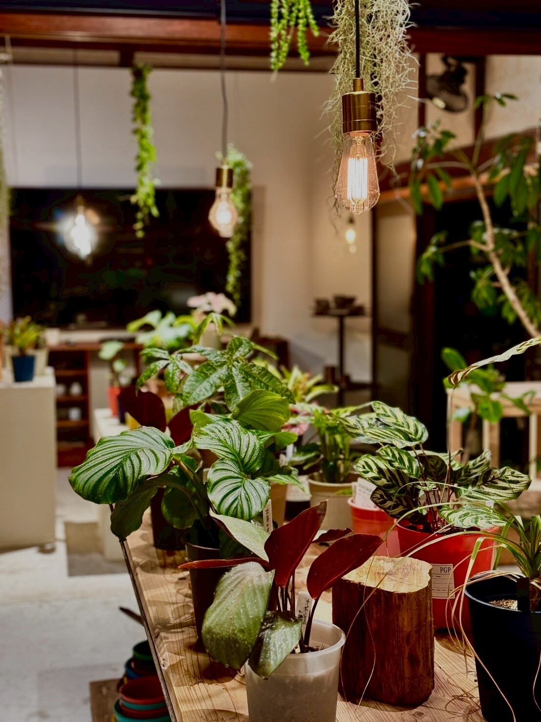 展示色見イメージ(3)