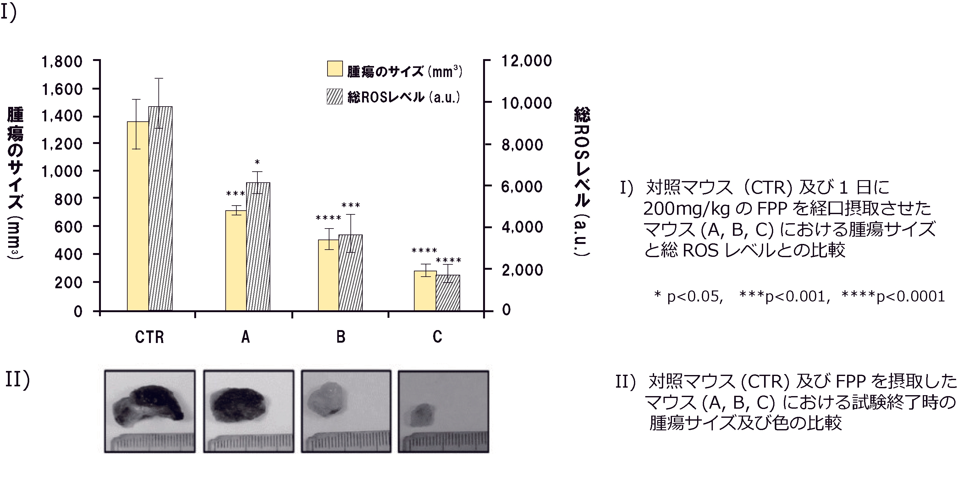 【図2】対照マウス(コントロール)および FPPを毎日摂取したマウス(FPP摂取開始から21日後 (A)、14日後(B)、3日後(C)にメラノーマを移植)との比較
