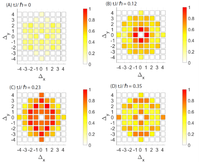 図3:2次元系での非局所相関の時間発展