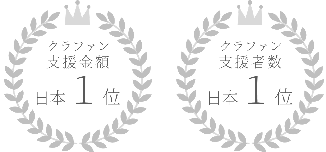 クラウドファンディングの実績