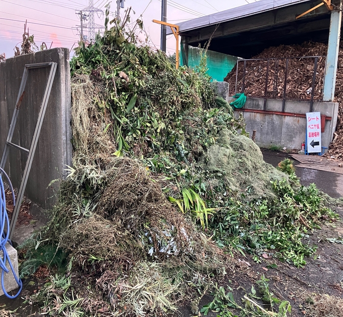 日々大量に持ち込まれる廃棄される枝葉の山