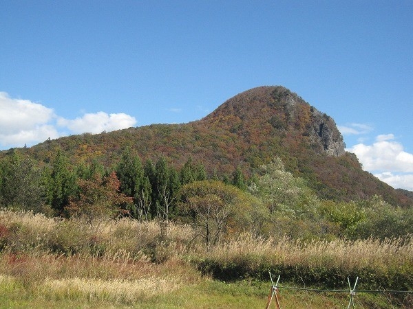 雲の峰 若きゴリラの 肺活量