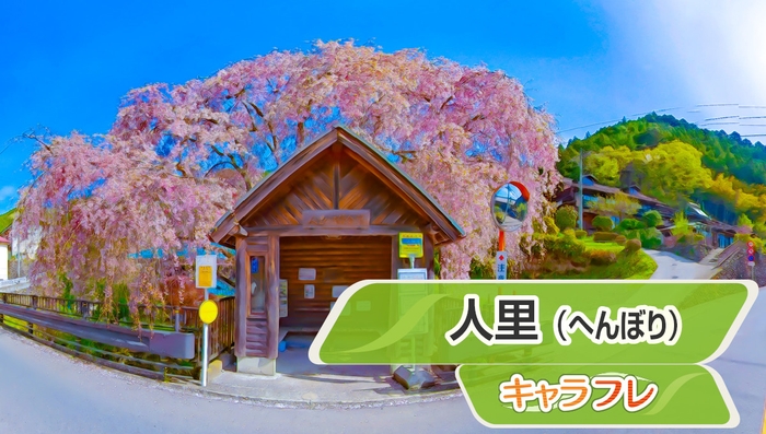 人里(へんぼり)枝垂れ桜