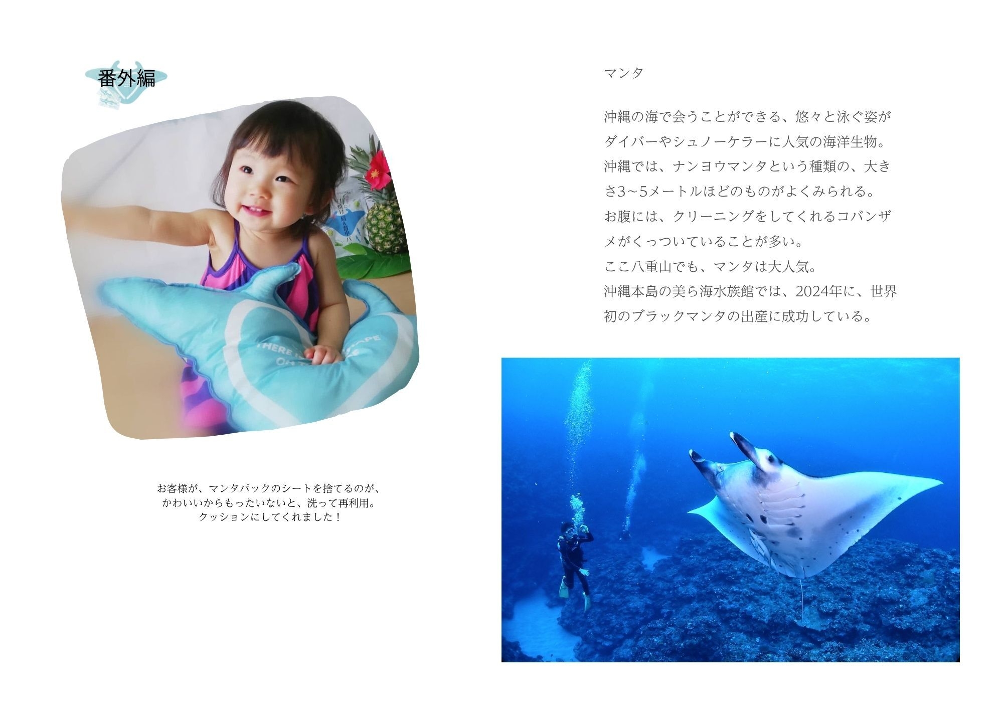 資料_P13