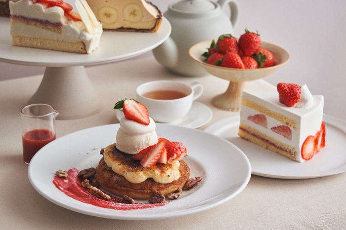 カフェ&ブックス ビブリオテーク