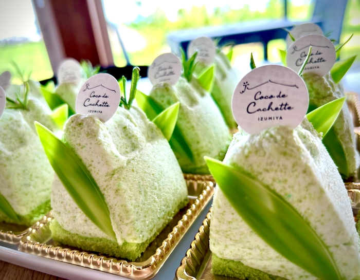 秘伝豆を使った 秘伝の森