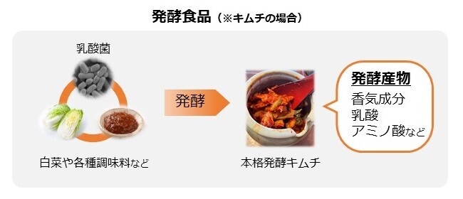 図1 発酵食品の発酵感が生じるイメージ