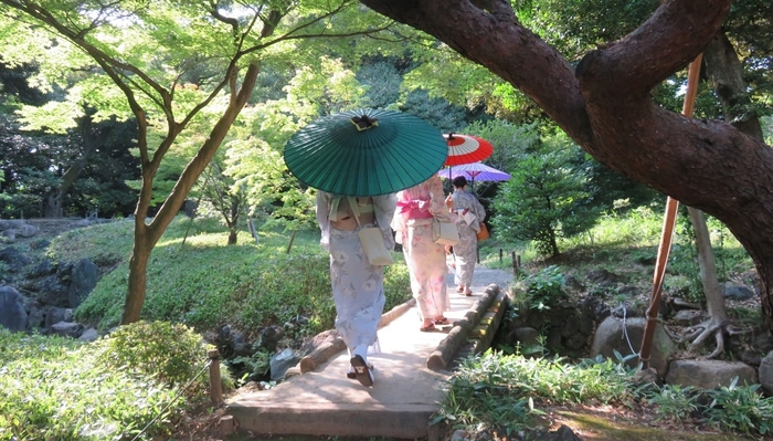 和傘をさした来園者(過年度の旧古河庭園の様子)