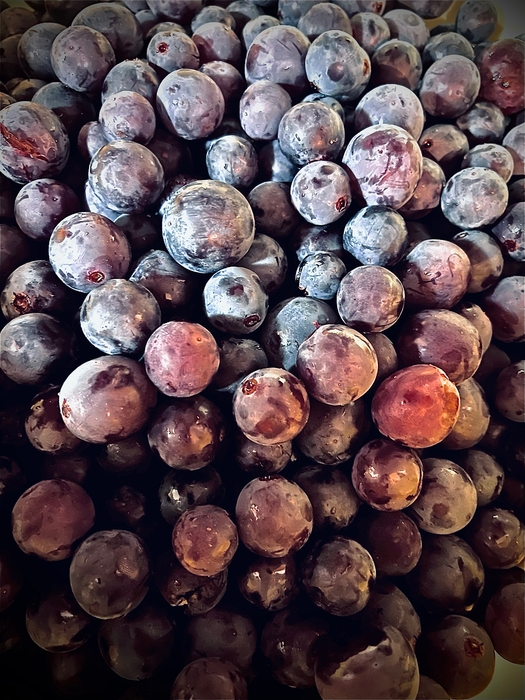 ボタニカルとして下処理されたピオーネ     