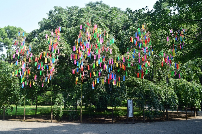 過去開催の様子(六義園)