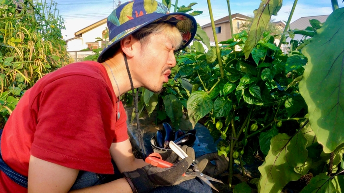 ハバネロを食す