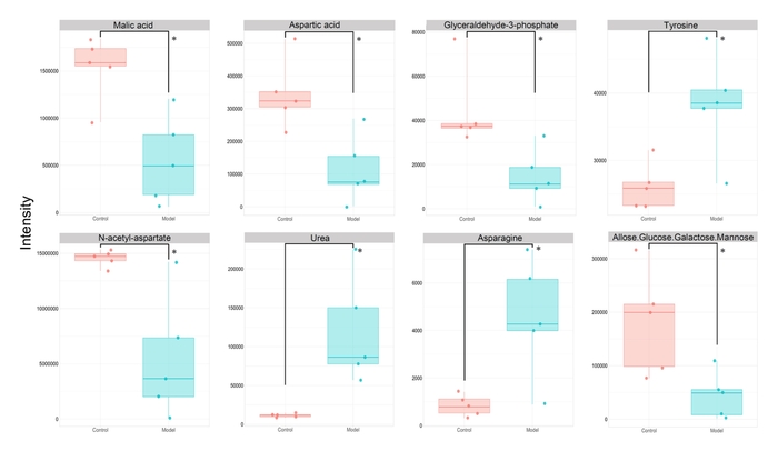 図1 大脳で有意差を示した8種類の代謝物の箱ひげ図 赤色はコントロール群、青色は炎症モデルマウス群を示す。代謝物は上段左から、Malic acid(リンゴ酸)、Aspartic acid(アスパラギン酸)、Glyceraldehyde-3-phosphate(グリセルアルデヒド-3-リン酸)、Tyrosine(チロシン)、下段左から、N-acetylaspartate(N-アセチルアスパラギン酸)、Urea(尿素)、Asparagine(アスパラギン)、Allose/Glucose/Galactose/Mannose(アロース/グルコース/ガラクトース/マンノース)を示す。