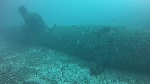 音響ソナーで2021年7月8日に2隻目の特攻兵器海龍を発見　 76年間、時が止まった海底の戦績歴史の重さ