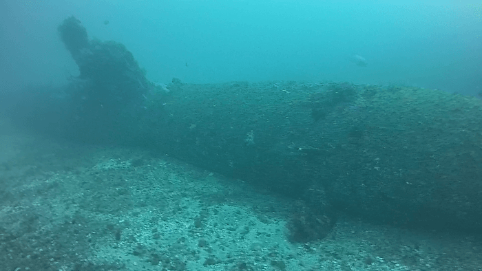 海底に眠る海龍