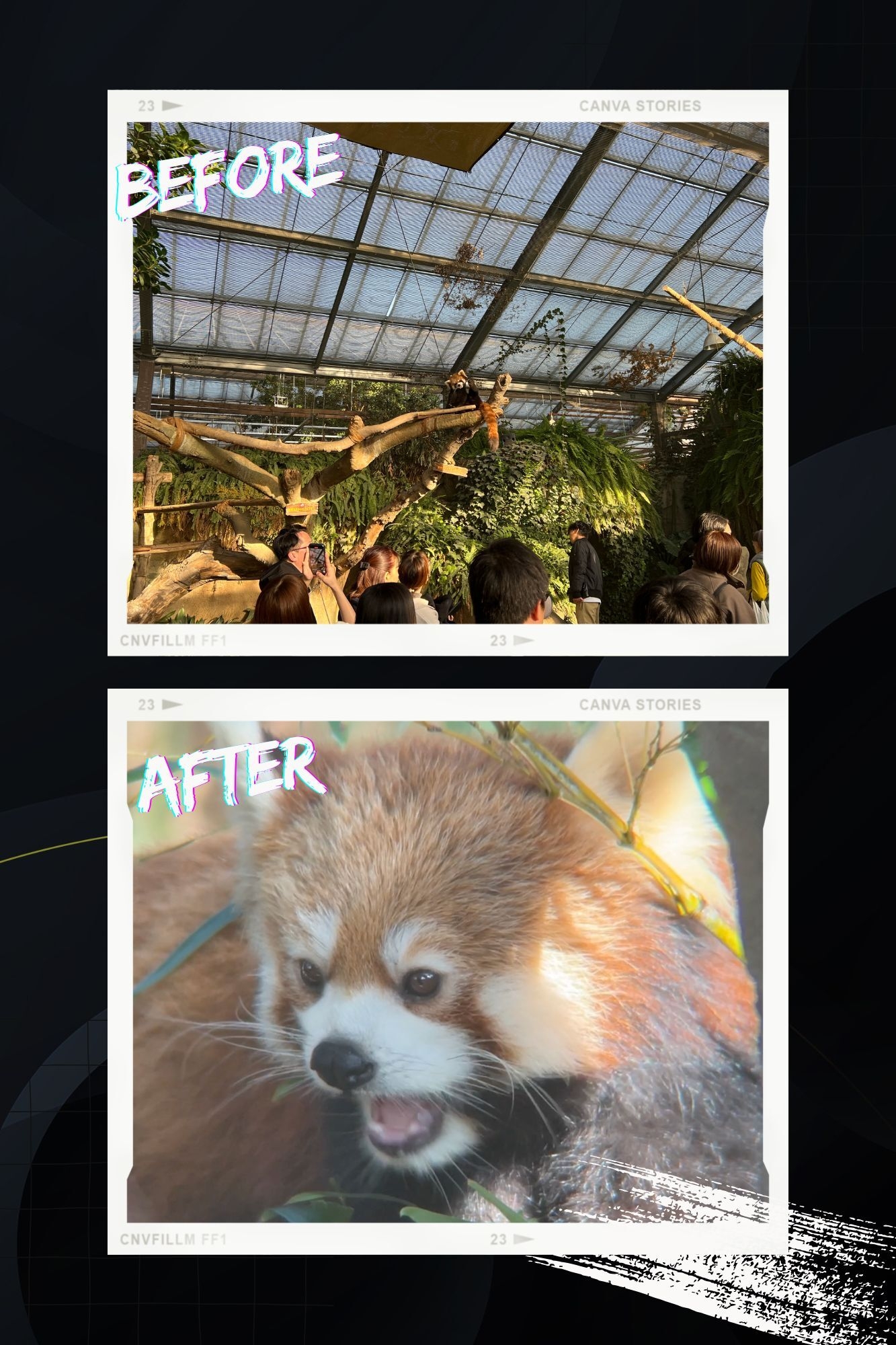 ビフォーアフター 5