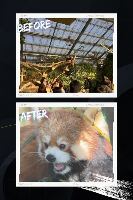 ビフォーアフター 5