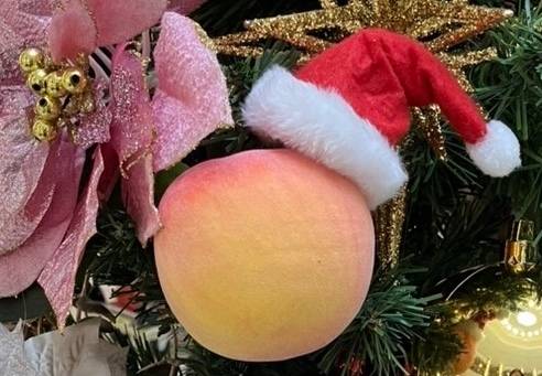 MOMOテラス_MOMOまみれフェス~Christmas~_サンタ桃