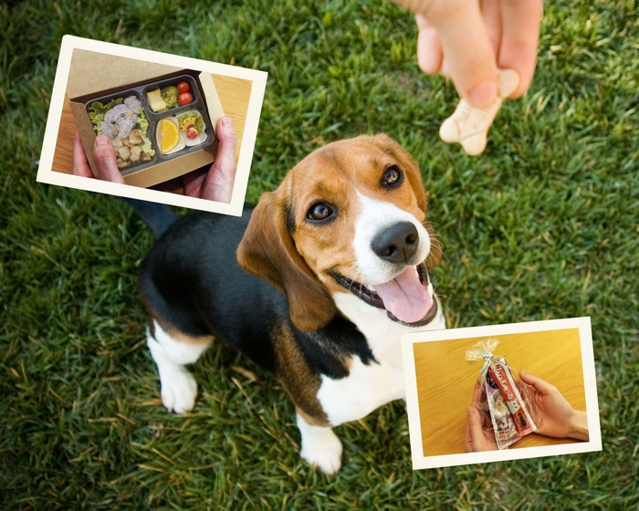 うちの子の大好きなごはん、おやつを虹の橋へ