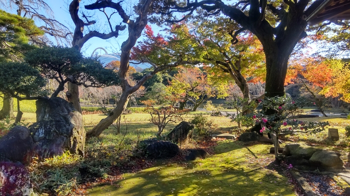 涵徳亭前庭(※イメージ)