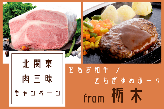 厳選!とちぎ自慢の肉グルメセット