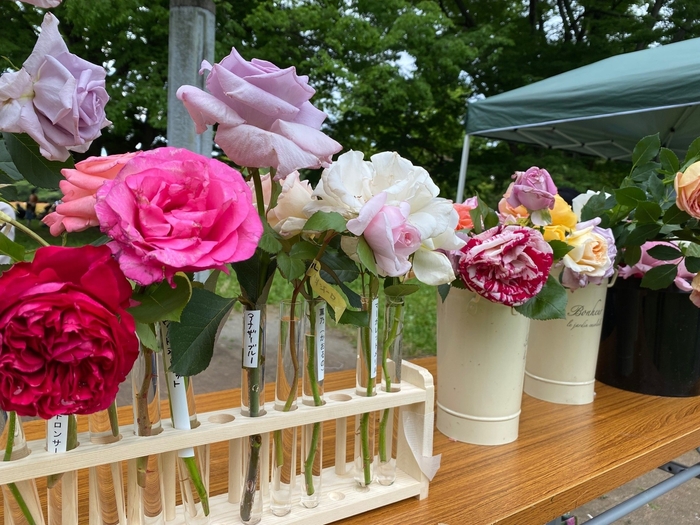 香るバラ展（過去開催時の様子）