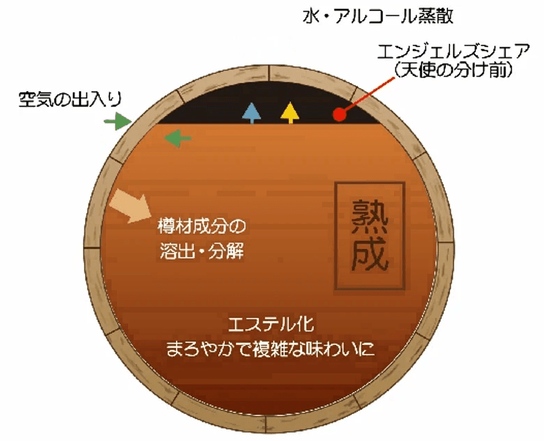 樽熟成でお酒が美味しくなる仕組み