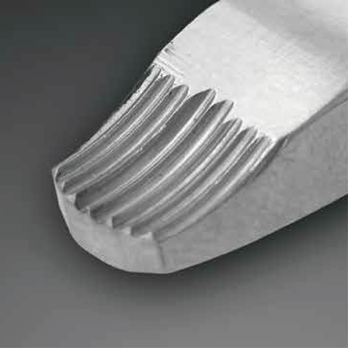 メディザウルス先端部