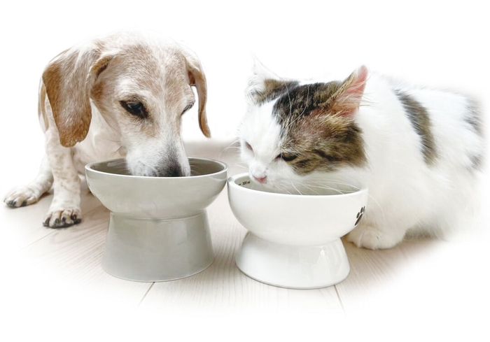 いつまでも健やかでいてほしい