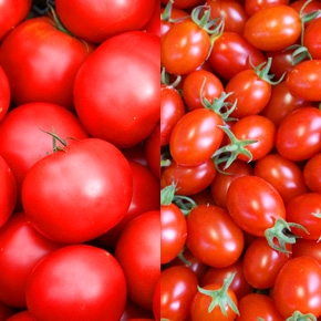 7月のお届け(トマトセット(桃太郎8&シンディスィート))