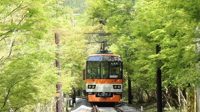 ～ もみじのトンネルを抜けて清涼感たっぷりの洛北へ ～ 「青もみじ新緑の徐行運転」を実施します